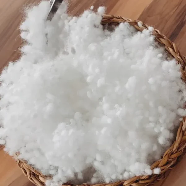 Kırpıntı Sünger